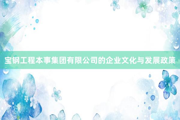 宝钢工程本事集团有限公司的企业文化与发展政策